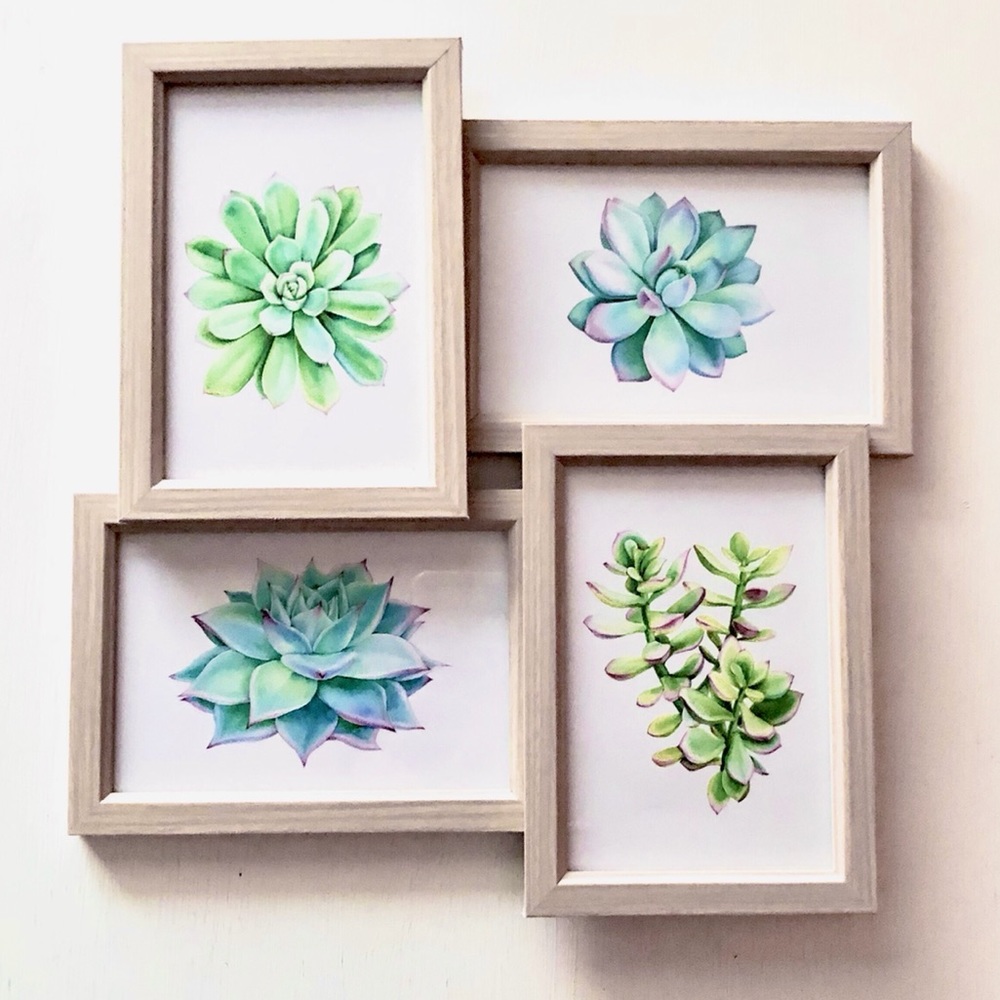 4 Framed Succulent Collage